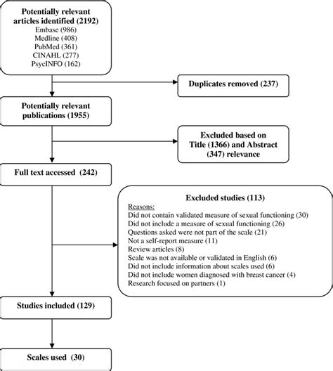 Image result for Flowchart Voorbeeld Systematic Review