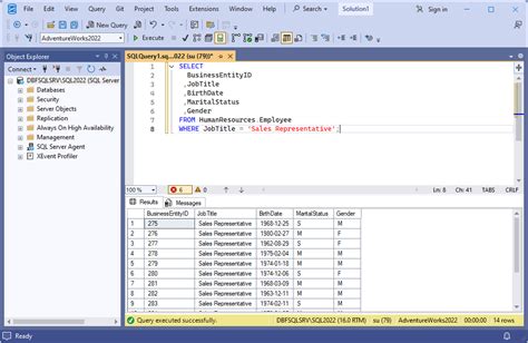 Image result for Basic Select Query in SSMS