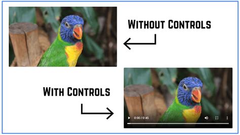 Image result for HTML Code for Enter