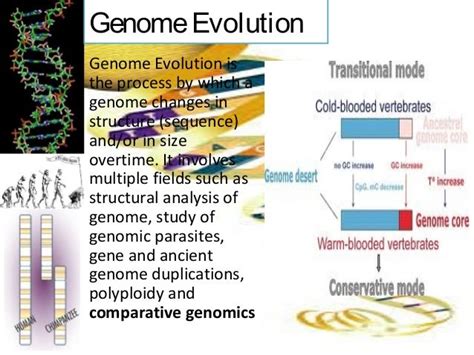 Image result for Biological and Evolutionary Basis