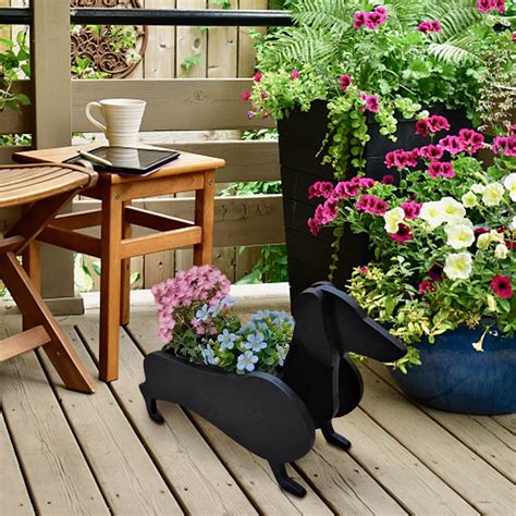 Image result for Cavapoochon Garden Planter