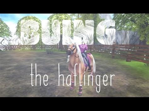 Toradh íomhá ar Haflinger SSO