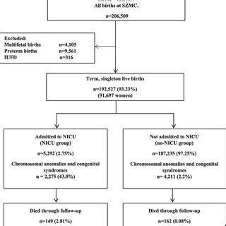 Neonatal Mortality Rate Formula に対する画像結果