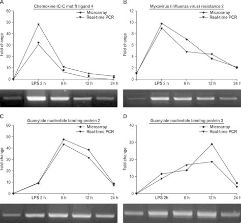 Image result for Microarray Data Patterns
