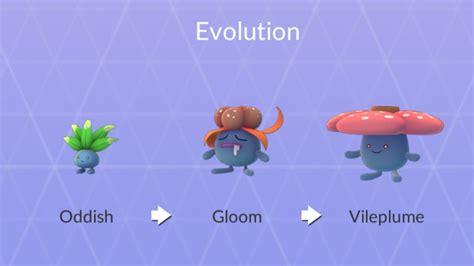 Image result for Odish Evolution Tree