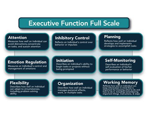 Image result for Executive Function Examples