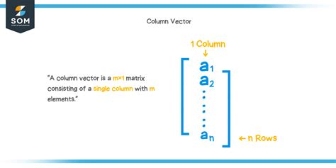 Image result for Polynomial Column Vector