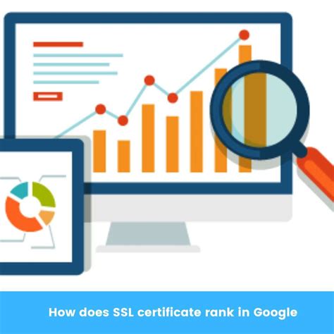 Rank Past SSL に対する画像結果