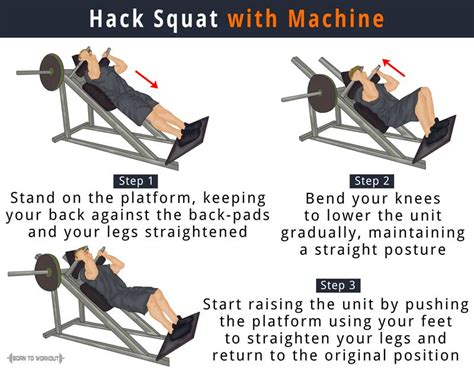 Image result for Hack Squat Exercise