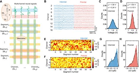 Parallel Signals に対する画像結果