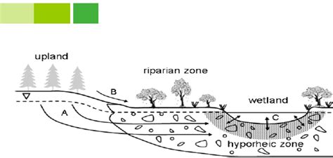 Image result for Overland Flow Zone