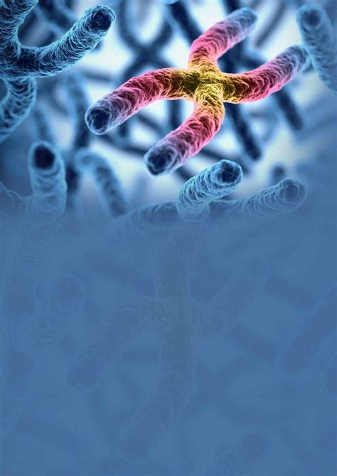 Image result for What Is Chromosomal Microarray Analysis