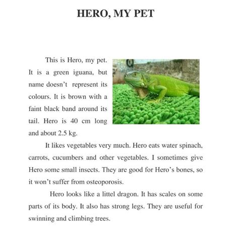 Toradh íomhá ar Contoh Template Descriptive Text Place