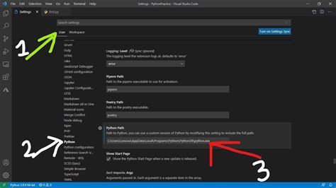 Check Python Version Visual Studio Code に対する画像結果