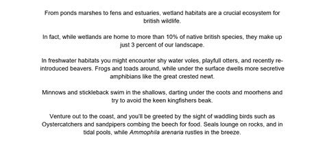 Image result for Editing Code. Copy Reading