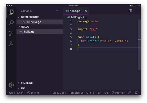 Image result for Go Program Entry