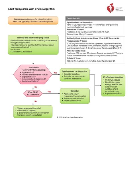 ACLS Tachycardia Algorithm Addendum に対する画像結果