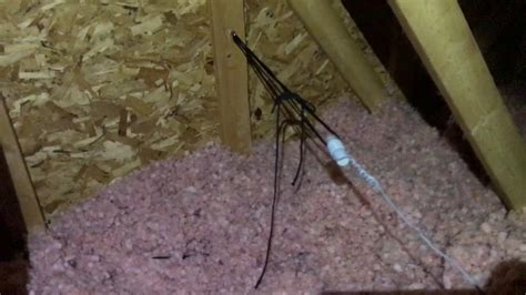 Image result for Attic Shortwave Antenna