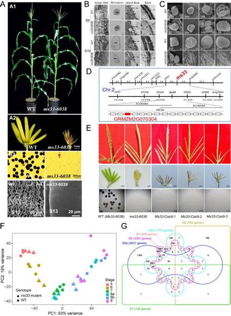 Image result for Plant Transcriptomics
