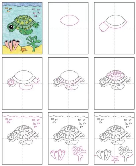 Image result for Turtle Drawing