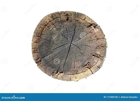 Image result for Log Top View Drawing