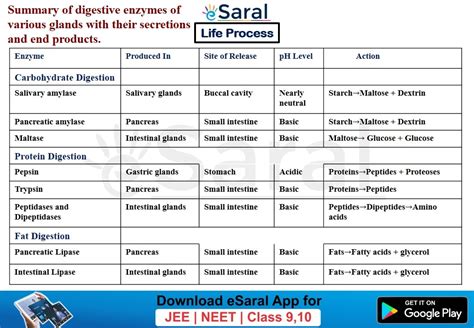 Afbeeldingsresultaten voor Life Process Concept Map Class 10