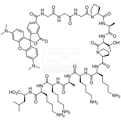 Image result for Histone Molecular Structure