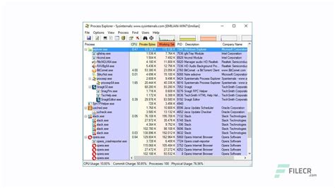 Image result for Process Explorer Download