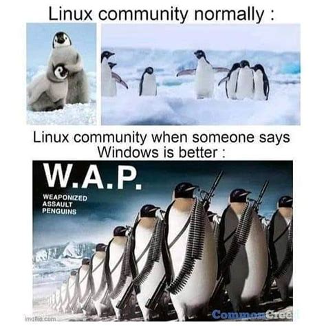 Image result for Linux Find Command Meme