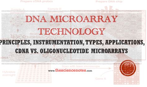 Image result for Microarray Technique Principle