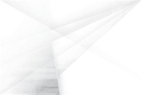 Image result for White Abstract Vector Transparent