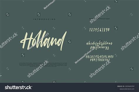 Image result for Fancy Hand Drawn Script