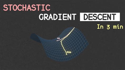Stochastic Gradient Descent Giff に対する画像結果