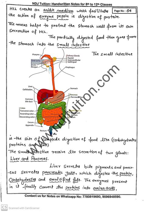Image result for Life Processes Class 10 Flow Chart