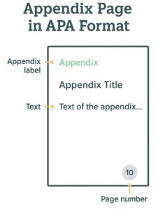 Image result for Adding Appendix to APA Paper