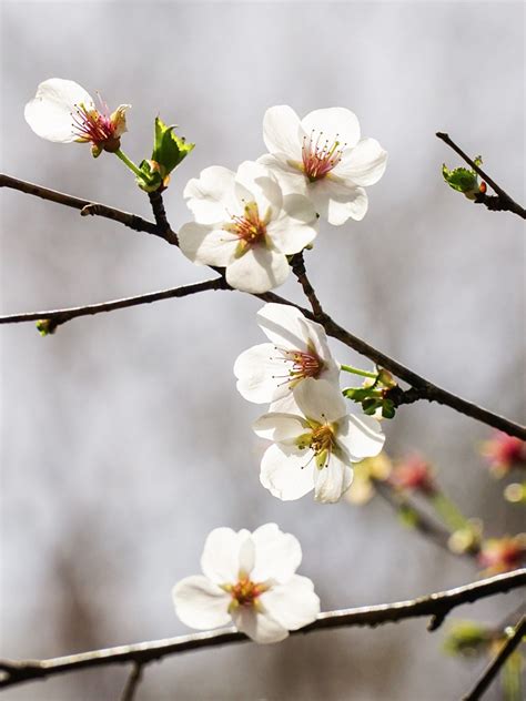 Script Slide に対する画像結果