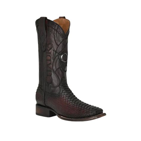 Toradh íomhá ar Boot Camp Python Lisboa Photos