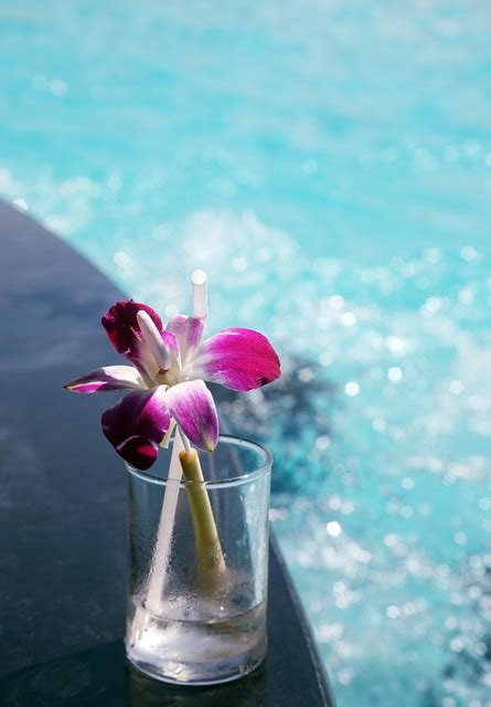 Image result for Gyro Stable Pool Table