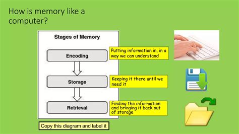 Multi-Store Model of Memory に対する画像結果