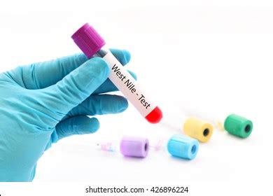 Toradh íomhá ar West Nile Virus Icon