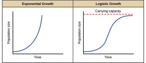 Image result for Logistic Growth Example Graph with 5 Phases