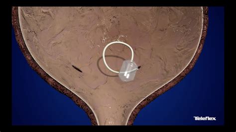 Image result for Ghost First Live Concert