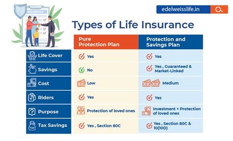Image result for Types of Life Insurance