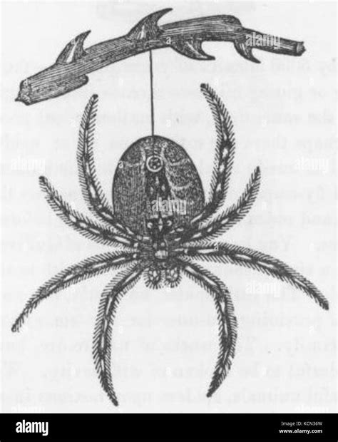 Hanging Files for Thread に対する画像結果