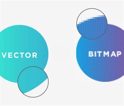 Image result for Online Convert Bitmap to Vector