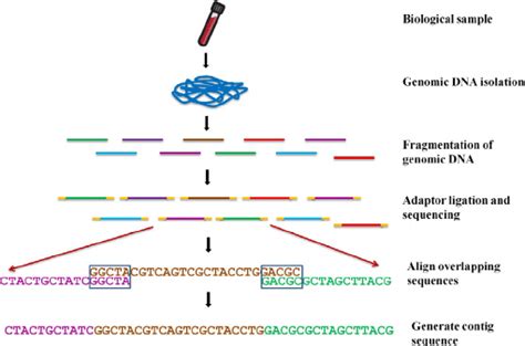 Image result for Next-Gen Sequencing Explained