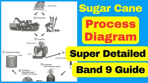 Image result for Process. Describe Task 1