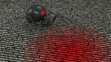 Image result for Spider Virus Computer