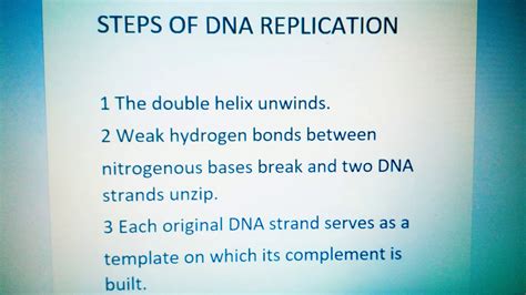 Image result for DNA Grade 12