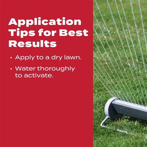 Image result for Scott's Grub Out Application